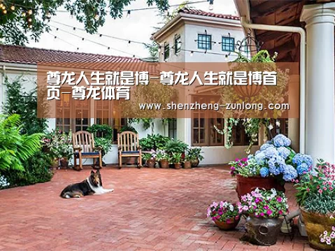 客户案例标题九