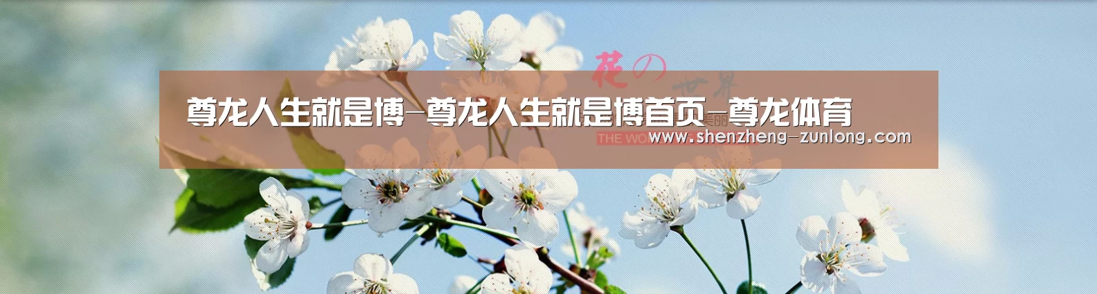 花卉园林种植展示网站模板